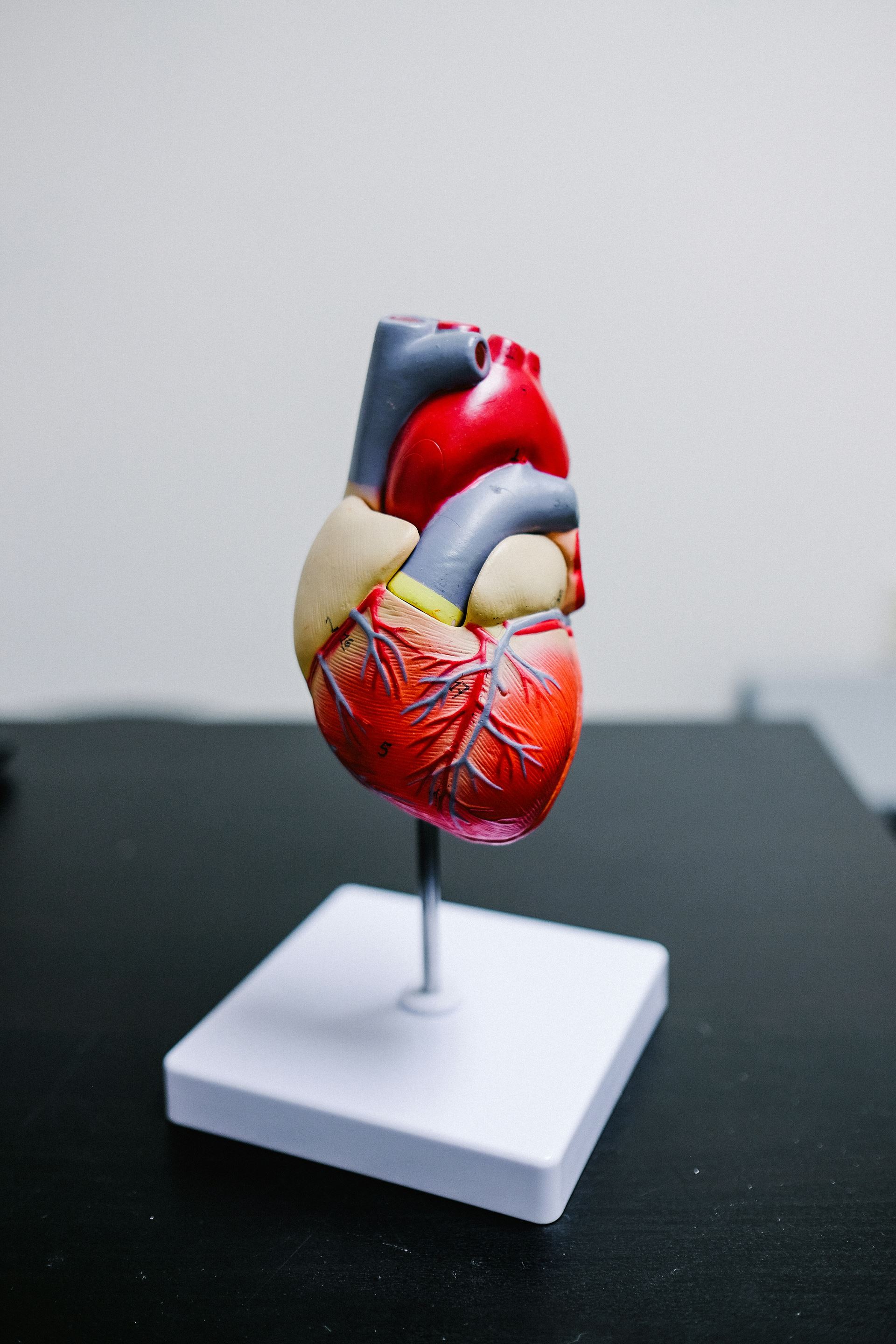 Heart failure review 